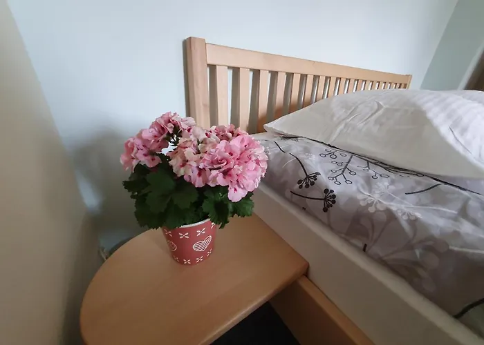 Ttt 게스트하우스