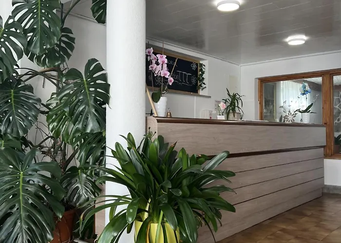 ペンション Ttt ゲストハウス